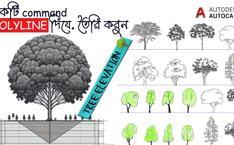  AutoCAD দিয়ে গাছের এলিভেশন তৈরি করতে হয়।